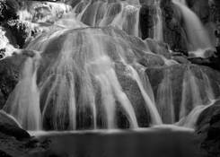 Water_veins