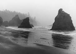 Ruby_beach