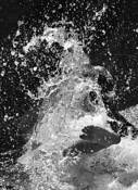 Water_birth_redux
