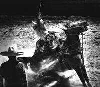 Untitled_3