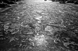 Orilla_del_lago