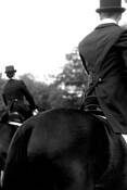 Classic_dressage