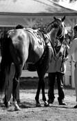 Ready_to_race