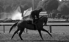 Untitled_5