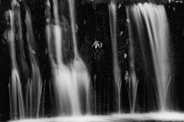 Cooper_lake__8