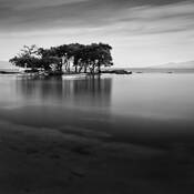 Untitled_1