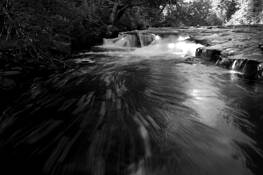 A_day_in_the_river