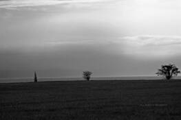 A_lonely_cold_winter_day_by_the_ocean_jpg