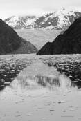 Glaciers_of_alaska_jpg