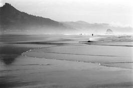 Beach_walkers
