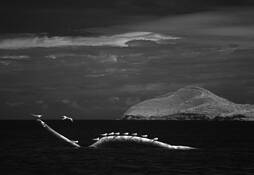 Landscape_in_montecristi