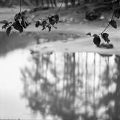 West_java_02