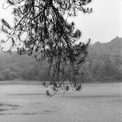 West_java_07