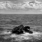 Lipoa_point_rock