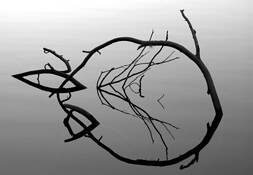 Peaceful_reflections