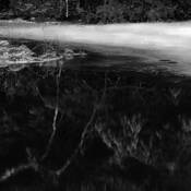 Behind_the_old_mill