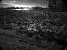 The_bay_sunset
