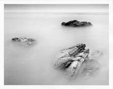 Creation_study__2