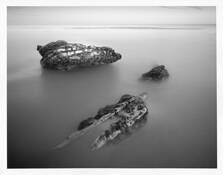 Creation_study__4