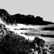 Untitled_10