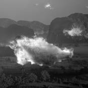 Untitled_11