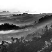 Untitled_5