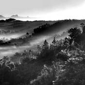 Untitled_6