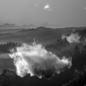 Untitled_9