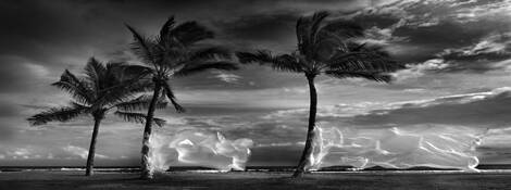 Sea_breeze_flags