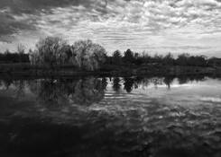 Lake_artemisia