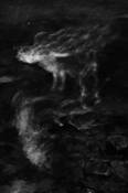 Ephemerality__5