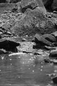 Borer_s_creek
