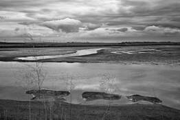 Across_the_marsh