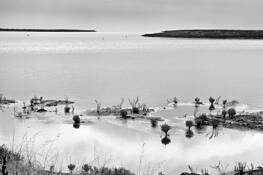 Baylands_view
