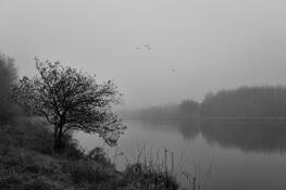 Beaver_pond