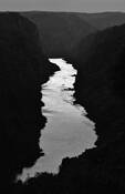 River_of_gold
