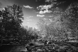 Eno_river_state_state_park_2
