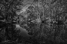 Sarah_p__duke_park