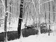 Little_river_preserve_1