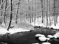 Little_river_preserve_2
