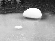 Little_river_preserve_7