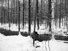 Little_river_preserve_8