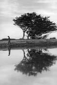 South_of_monterey