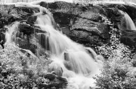 Bostons_water