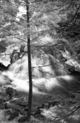 Bostons_water
