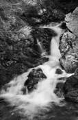 Bostons_water