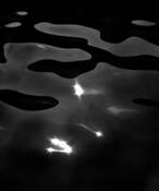 Water_gods_5