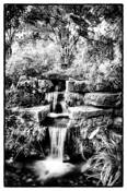 Botanical_gardens