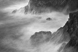 Our_backyard_iii