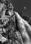 Untitled_4